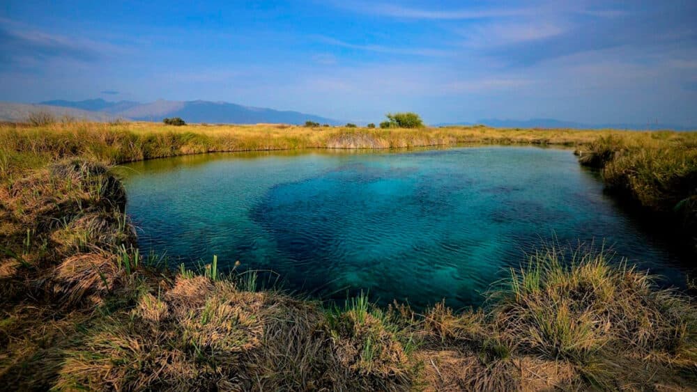 Poza Azul Un Oasis en el desierto